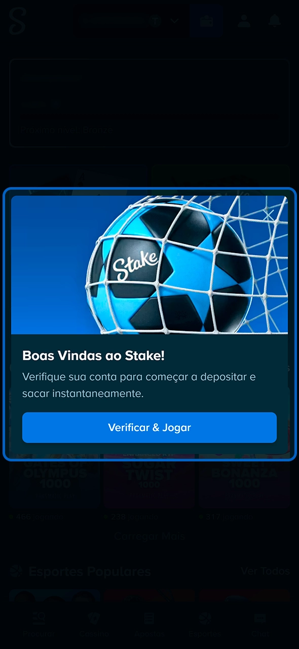 Conclusão do processo de abertura de conta na Stake.