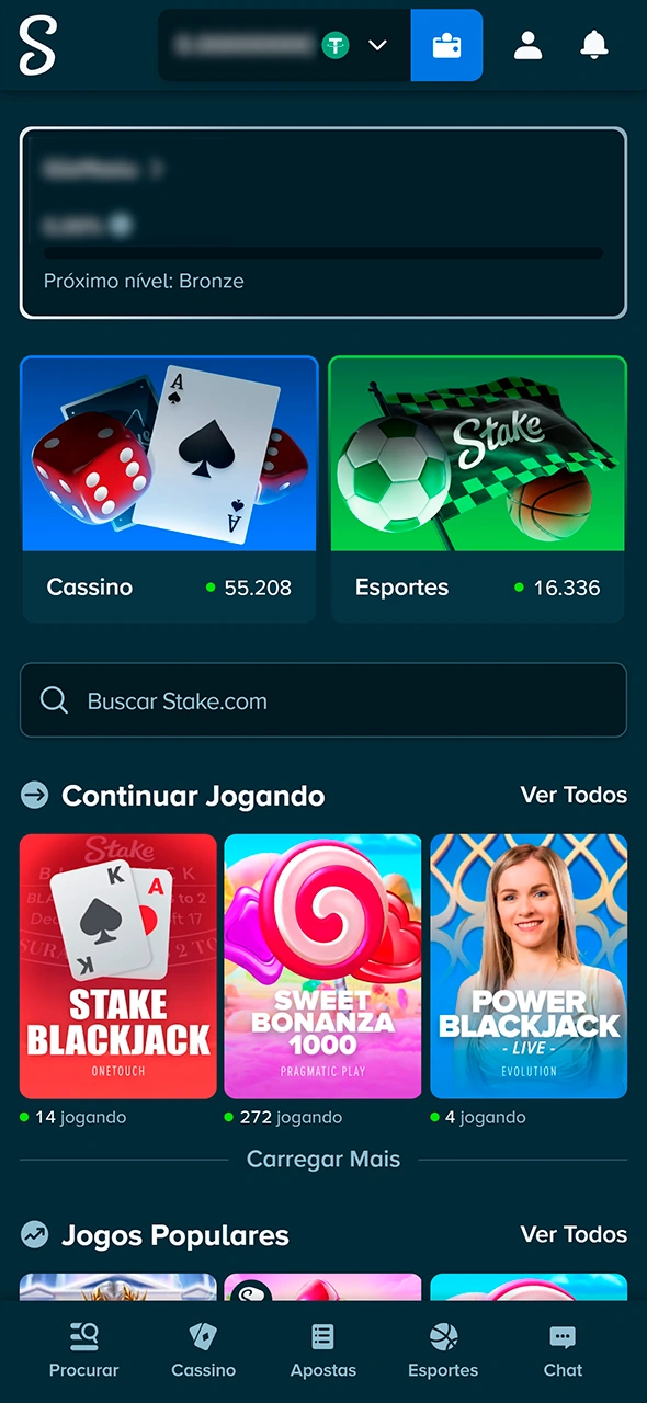 Painel de usuário após fazer login na Stake.